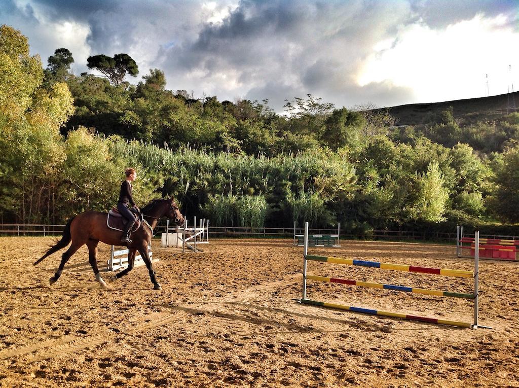 Agriturismo Ridocco コルレオーネ エクステリア 写真