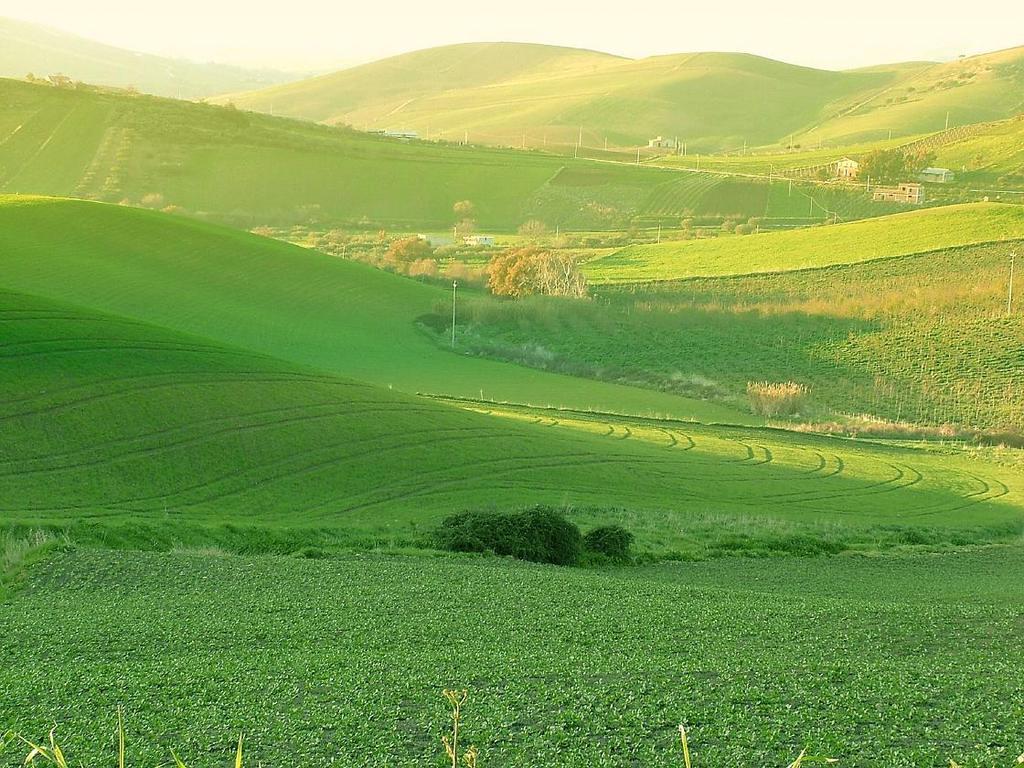 Agriturismo Ridocco コルレオーネ エクステリア 写真