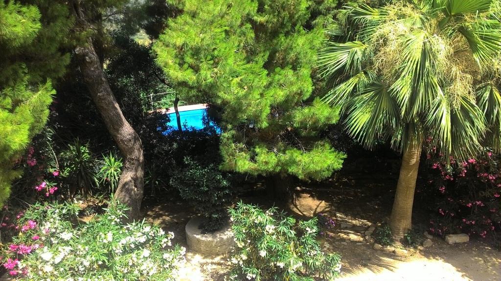 Agriturismo Ridocco コルレオーネ エクステリア 写真